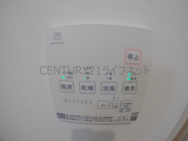 cacto新高