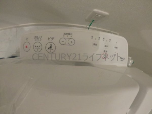 cacto新高