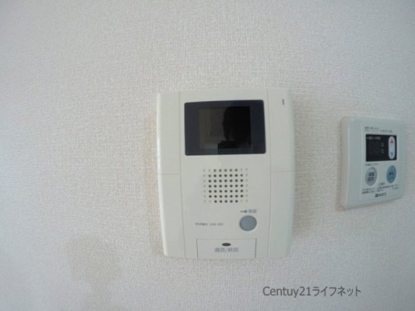 ポットマム
