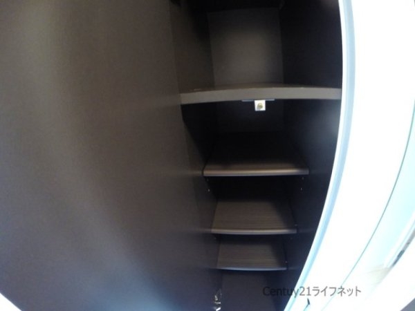 ポットマム