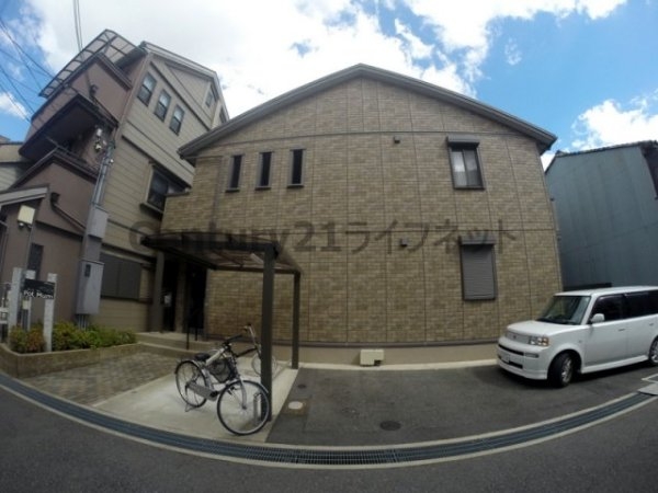 ポットマム