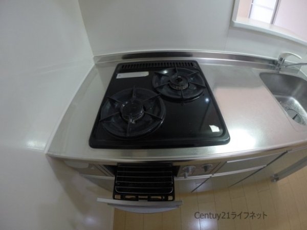 ポットマム