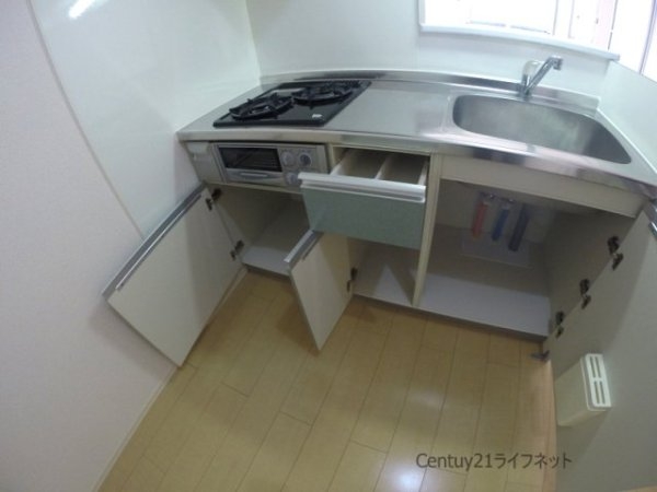 ポットマム