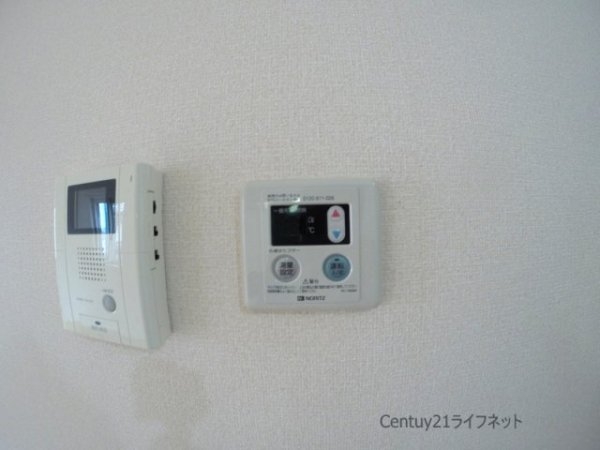 ポットマム
