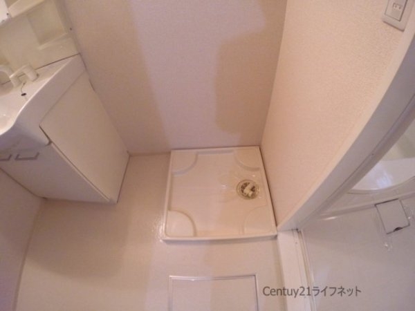 ポットマム