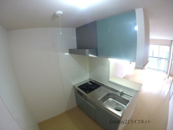ポットマム