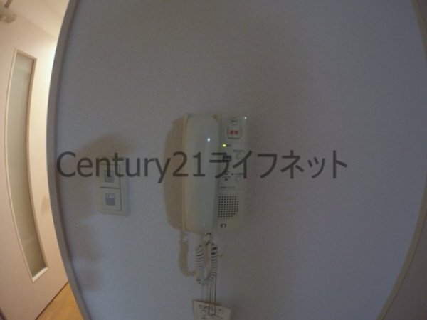 ドムスドイ
