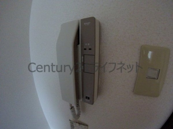 メゾンルミエール