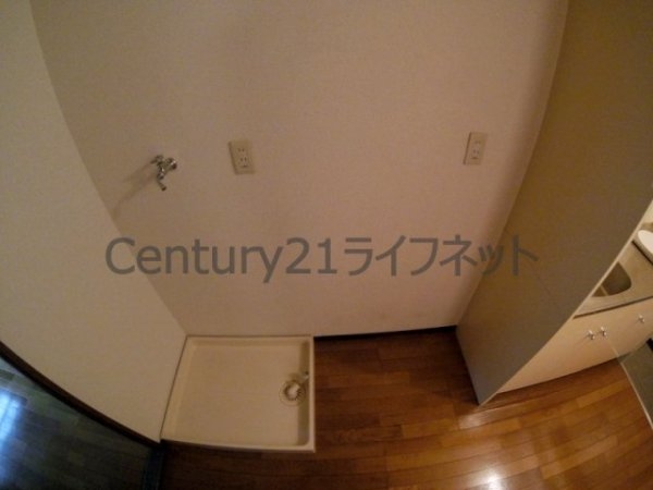 メゾンルミエール