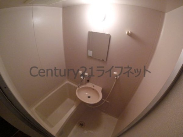 メゾンルミエール