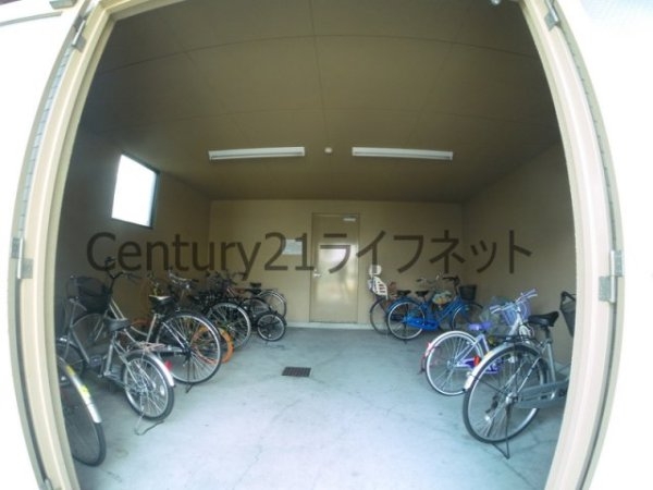 ヴェルドミール35