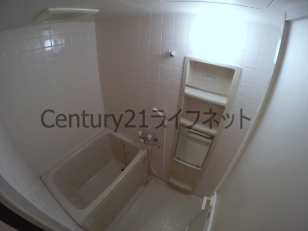 ヴェルドミール35
