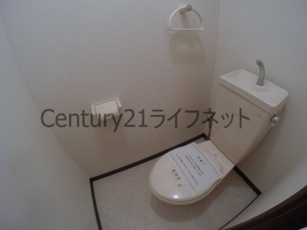 ヴェルドミール35