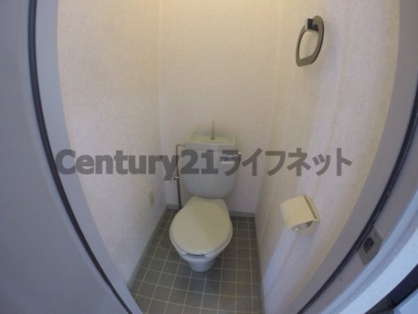 パナハイツアミジマ