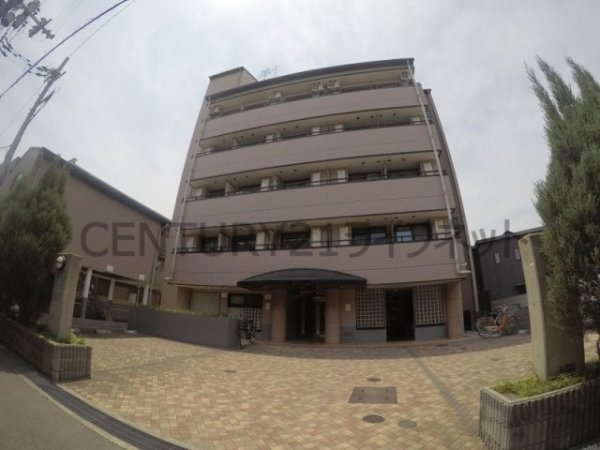 FIVEONE