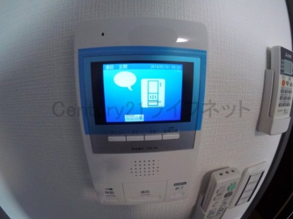 サーフアイランドモナリザ