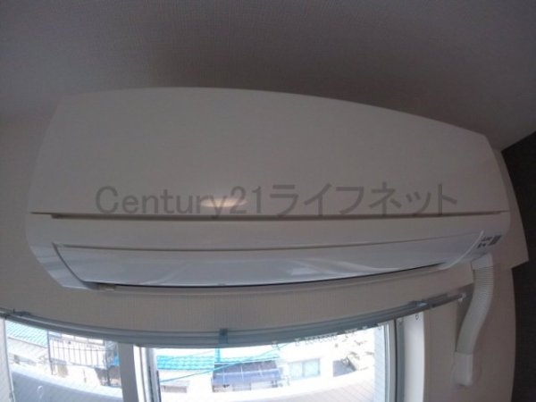 サーフアイランドモナリザ