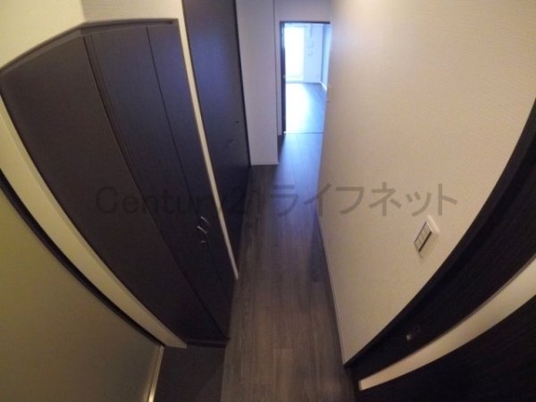 サーフアイランドモナリザ