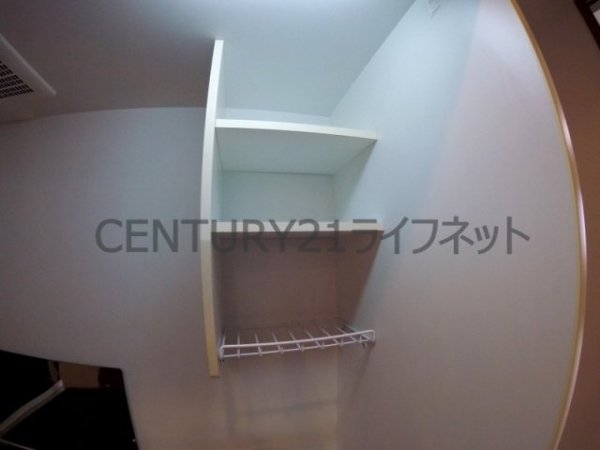 プロスペクト中之島