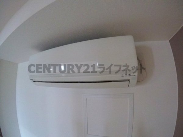 フェニックスコート