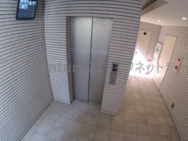 フェニックスコート