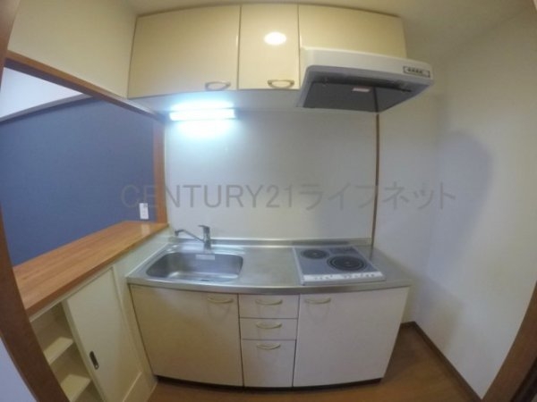 ハイムタケダT-9