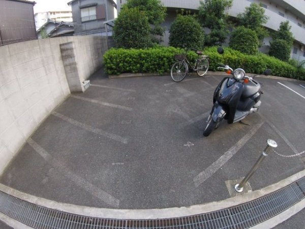 シビラ柴島