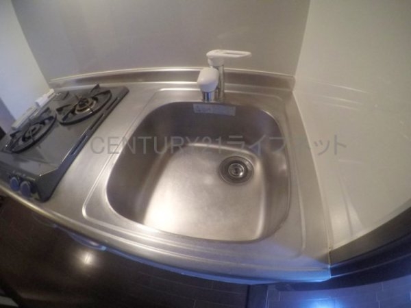 プルス野中南