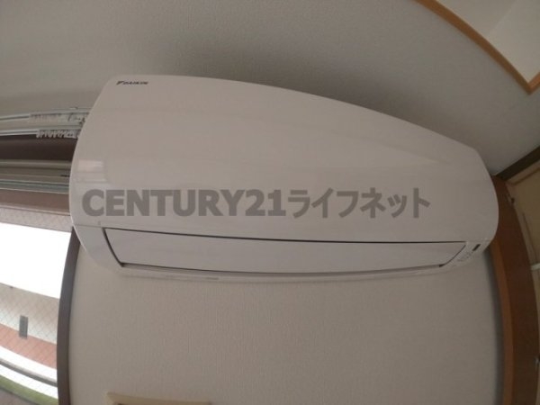 コンソラーレ同心