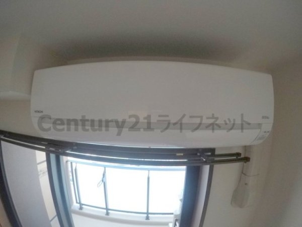 プルメリア西三国イースト
