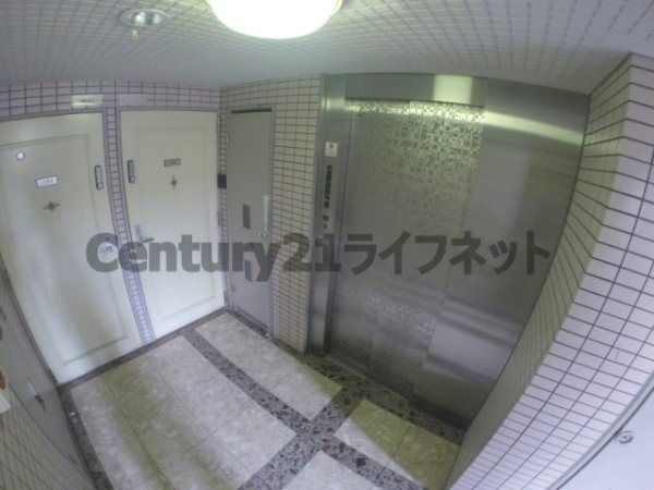シェイーネ新高