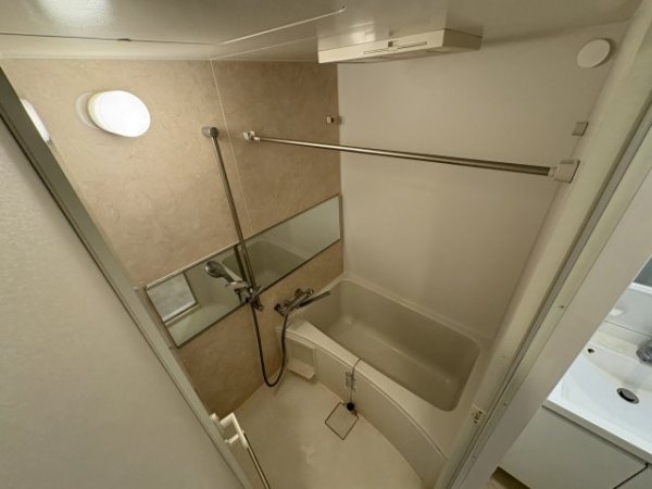 スプランディッド7