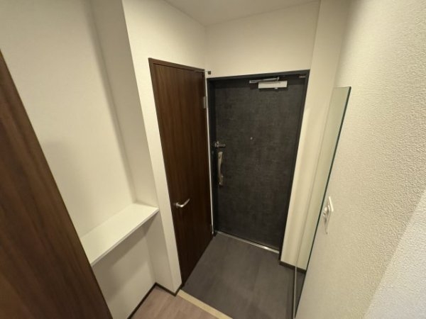 スプランディッド7