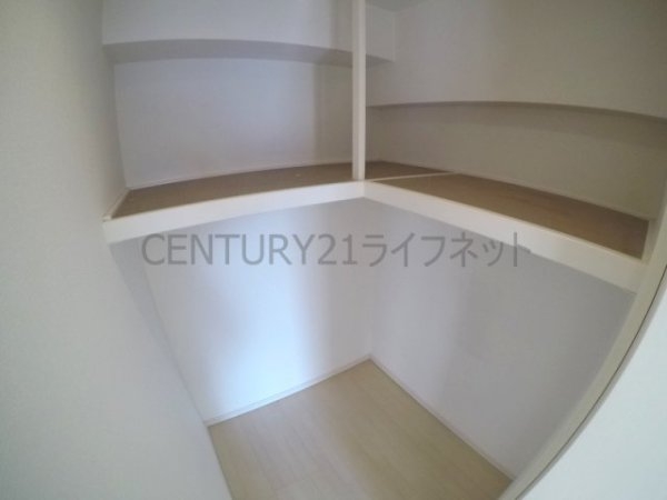 アルチコンテント新高