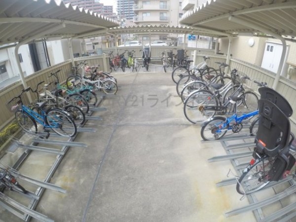 アルチコンテント新高