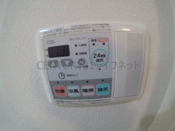 アルチコンテント新高