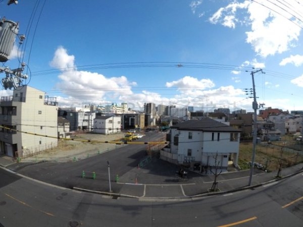 ベルベデーレ
