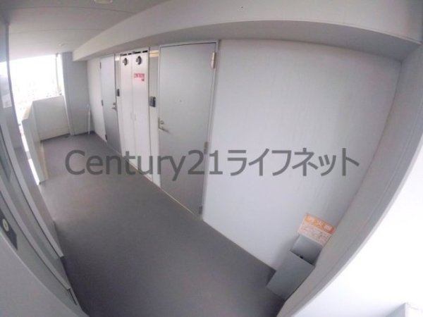シャトートレイユ