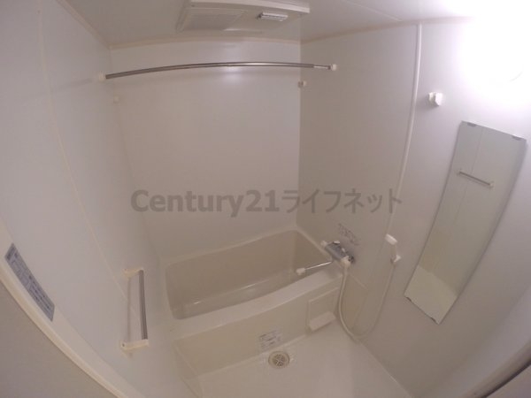 アリーヴィオ