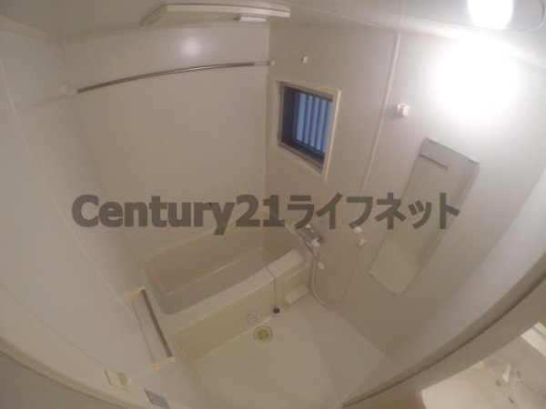 アリーヴィオ