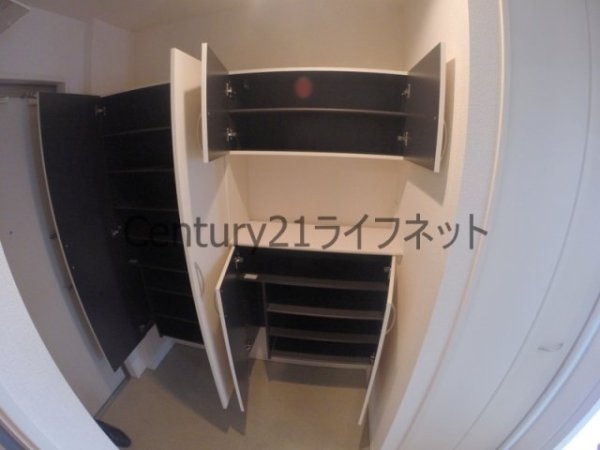 ウィステリア