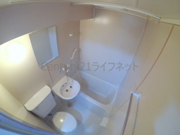 ラコンテ・スィエル
