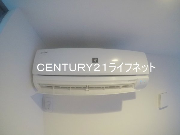プルメリア江坂