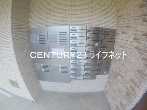 プルメリア江坂
