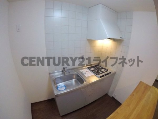 シーサーテン
