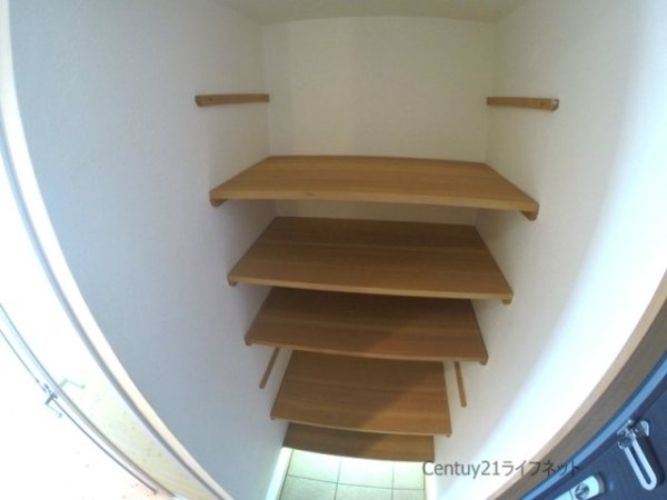 DolceVita1（ファースト）