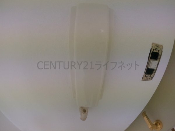 P・POINT