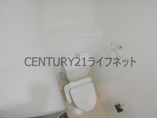 T・Y天六