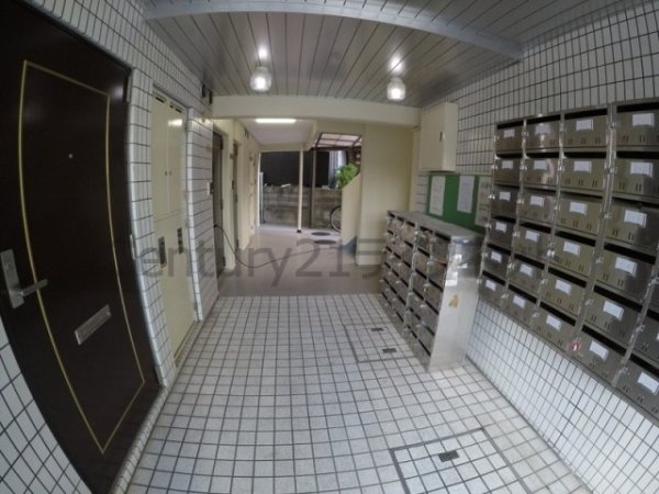 ドムール新北野