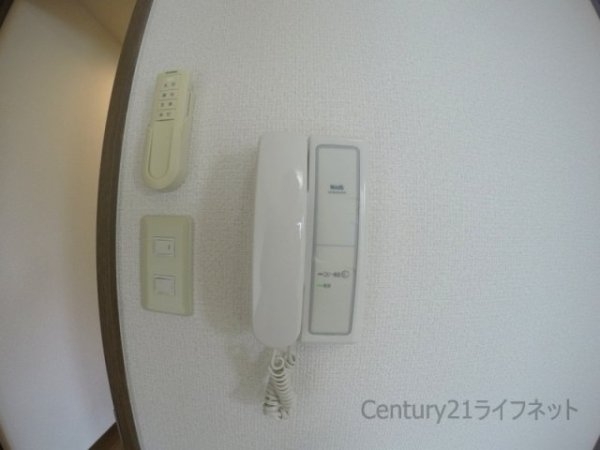 アンプルールフェールドミール